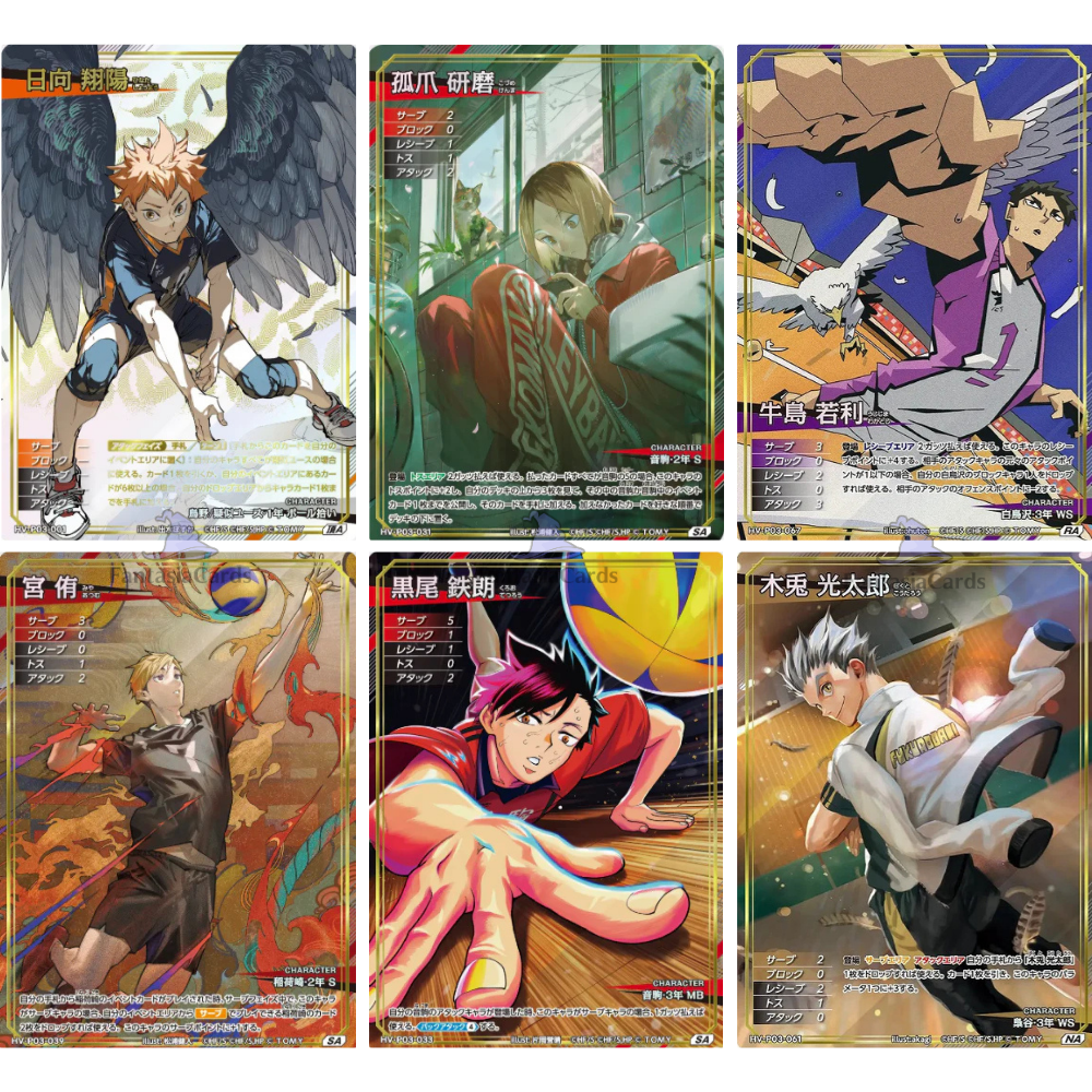 Haikyu!! - HV-P03 - All-Japan Youth &amp; Miyagi First Years&