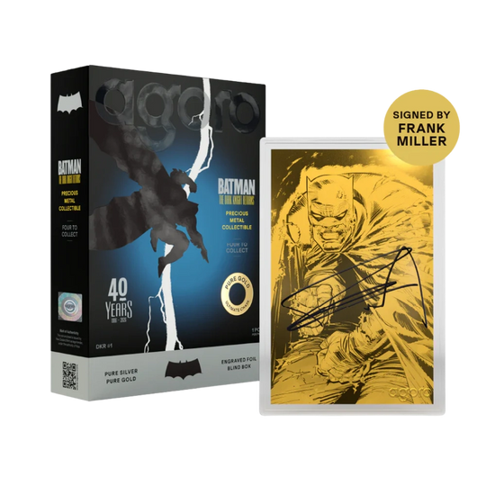 Agoro - Batman The Dark Knight Returns - Blind Box
