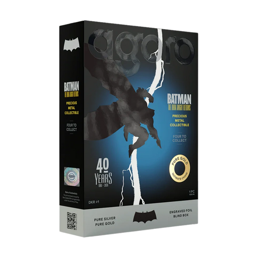 Agoro - Batman The Dark Knight Returns - Blind Box
