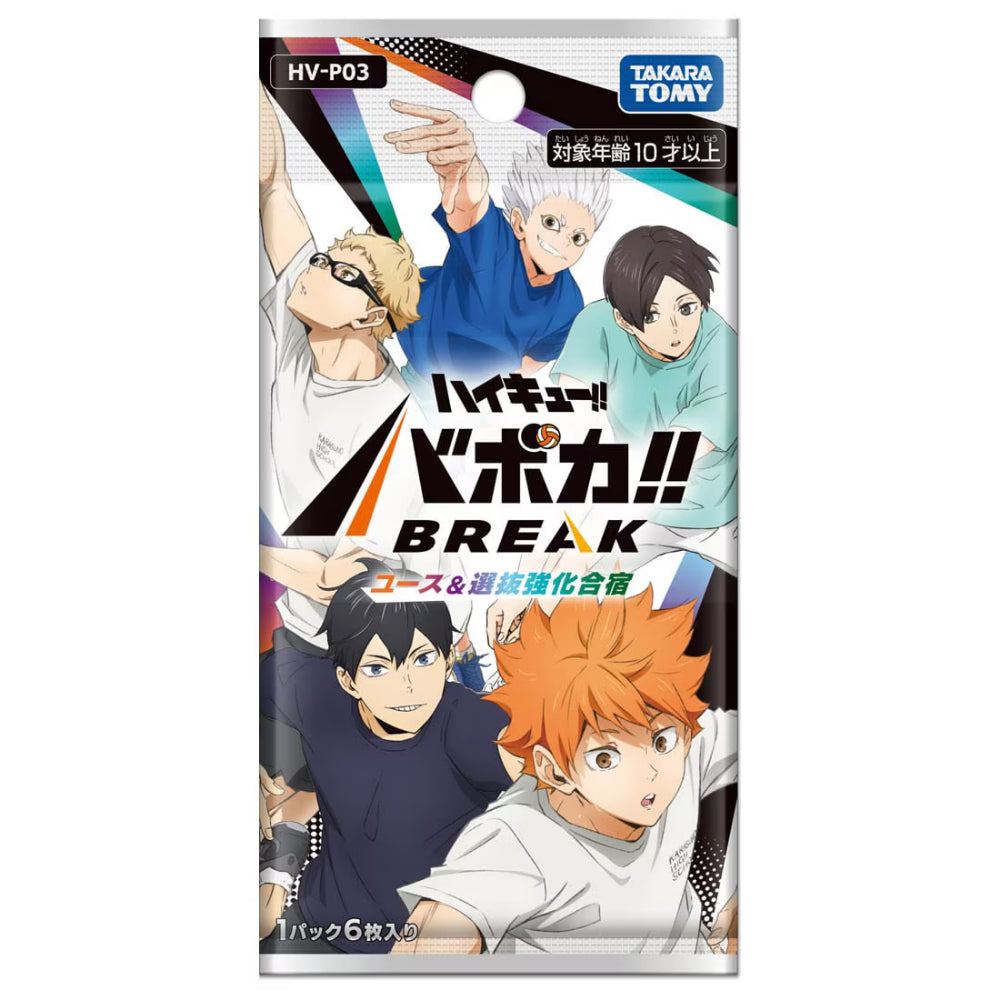 Haikyu!! - HV-P03 - All-Japan Youth &amp; Miyagi First Years&