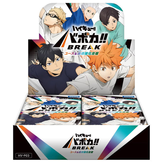 Haikyu!! - HV-P03 - All-Japan Youth &amp; Miyagi First Years&