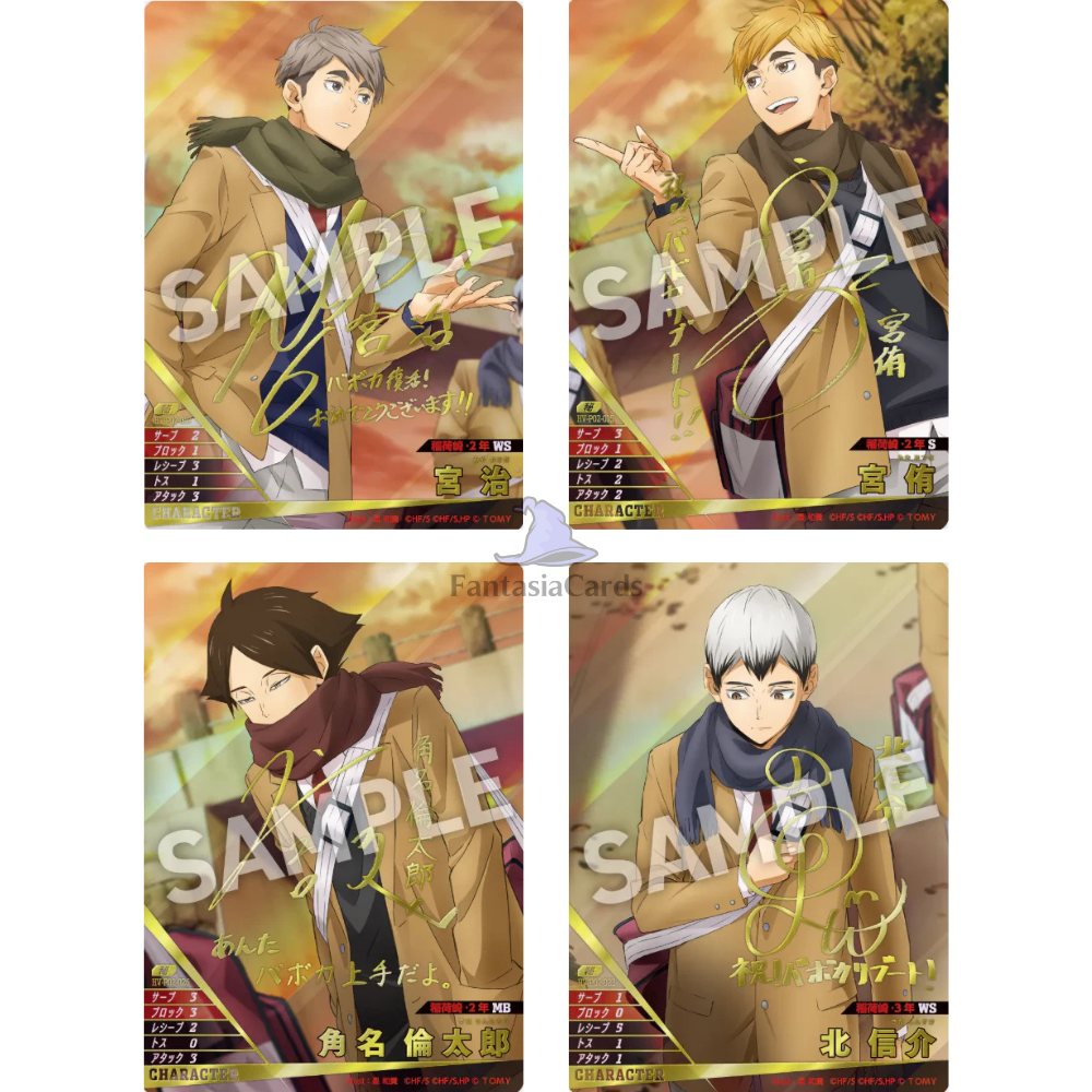 Haikyu!! - HV-P02 The Strongest Challenger - Display [JP]